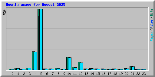 Hourly usage for August 2025