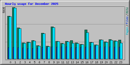 Hourly usage for December 2025