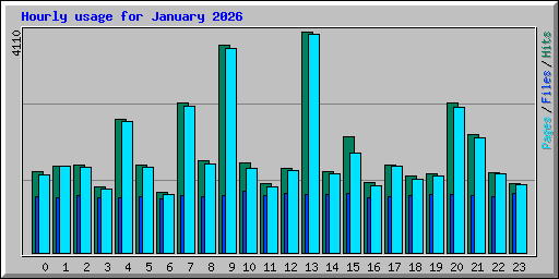 Hourly usage for January 2026
